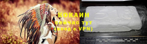 хмурый Дмитровск