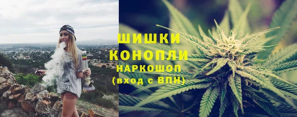 трава Гусев
