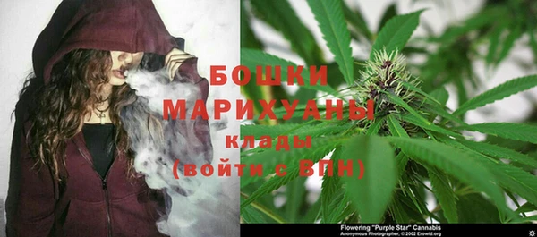 трава Гусев